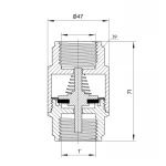 Обратний клапан Thermo Alliance Forte 1