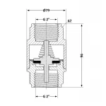 Зворотний клапан із латунним штоком Thermo Alliance Forte 2