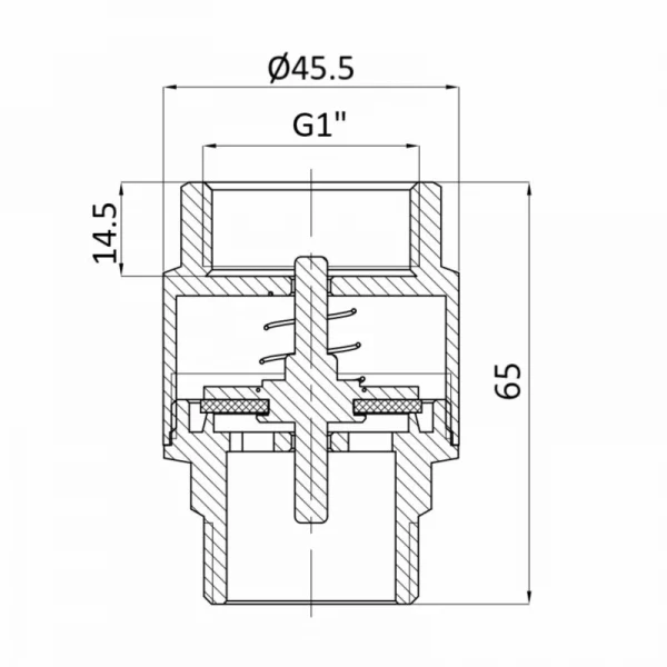 Клапан зворотний Thermo Alliance Standart 1