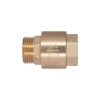 Обратний клапан Thermo Alliance Standart 1