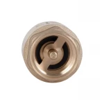 Обратний клапан Thermo Alliance Base 1/2