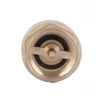 Обратний клапан Thermo Alliance Base 3/4