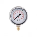 Манометр с глицерином Thermo Alliance Forte 6 бар, 1/4