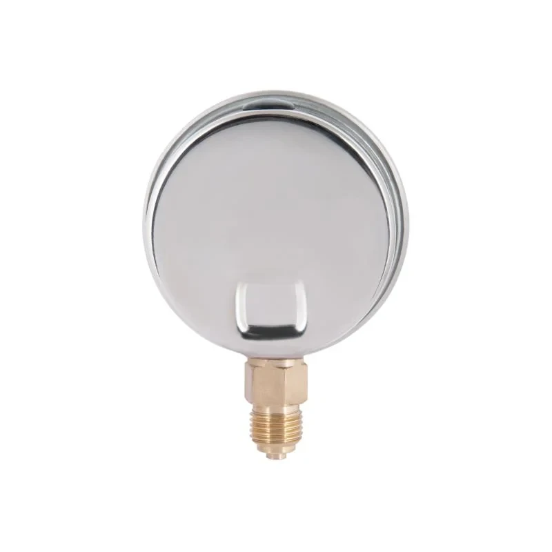Манометр с глицерином Thermo Alliance Forte 10 бар, 1/4