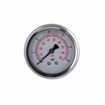 Манометр із гліцерином Thermo Alliancе Forte 6 бар, 1/4