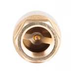 Обратный клапан Icma с латунным штоком 3/4