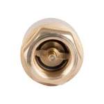 Обратный клапан Icma с латунным штоком 3/4