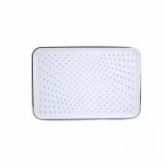 Лійка для верхнього душу Lidz  для душової системи Orion LDORI48582