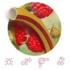 Шланг для полива SYMMER FRUIT+BERRY 3/4
