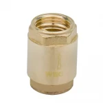 Клапан обратный WEG 3/4