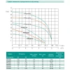 Центробежный насос SHIMGE PRm406 1.5 кВт, максимальная высота 68 м, максимальная производительность 108 л/мин
