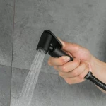 Смеситель с гигиенической лейкой GAPPO G2003-6 черный/хром