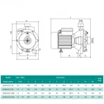 Центробежный насос SHIMGE 2SGPm32/160A 2.2 кВт (Hmax 60 м, Qmax 200 л/мин)