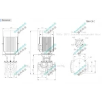 TB65-20/2 SHIMGE 380В цирк. сухий ротор  3 кВт Hmax 26м Qmax 667л/хв DN65 360мм {1}