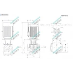 TB65-30/2 SHIMGE 380В цирк. сухий ротор  5,5 кВт Hmax 35м Qmax 833л/хв DN65 360мм {1}