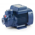 Насос вихревой Pedrollo PKm 90 (1 фаза) (41PM81A1)