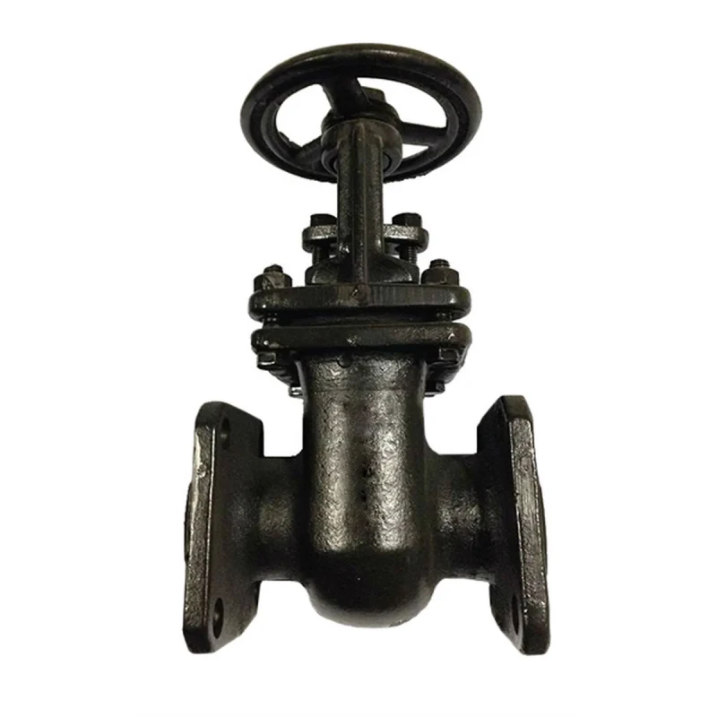 Защелка ЭКО фланцевая 30 ч6бр Ру16 80 мм