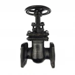 Защелка ЭКО фланцевая 30 ч6бр Ру16 80 мм