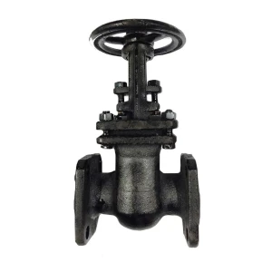 Засувка ЭКО фланцева 30 ч6бр Ру16 80 мм