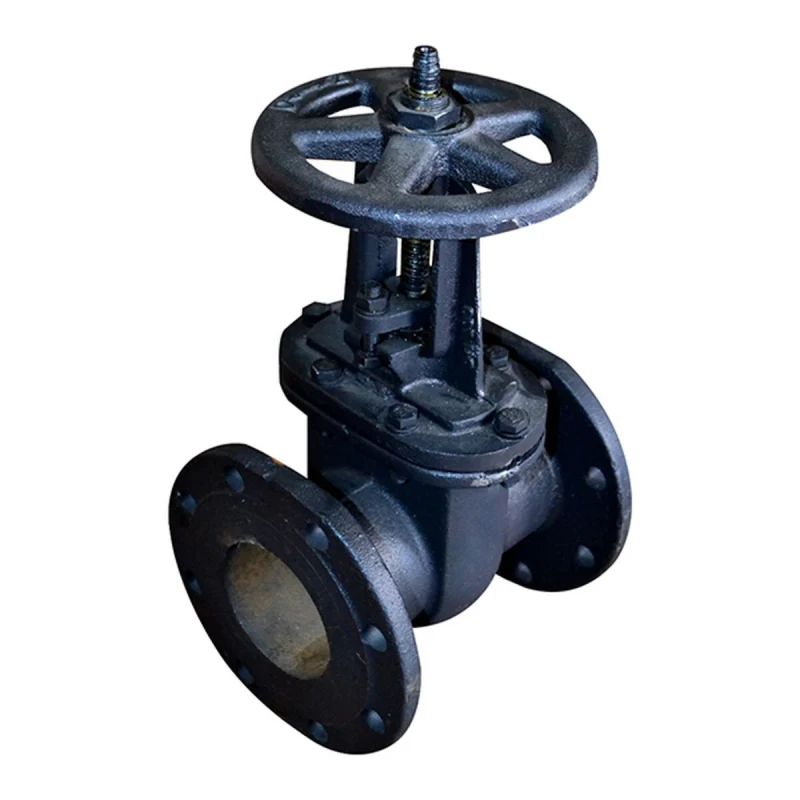 Засувка ЭКО фланцева 30 ч6бр Ру16 125 мм