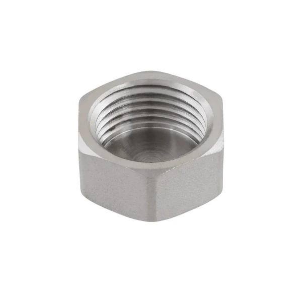 Заглушка Raftec PN40 ВВ 1/2