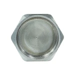 Заглушка Raftec PN40 ВВ 3/4