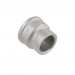 Муфта Raftec PN40 ВВ 1