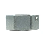 Заглушка Raftec PN40 ВВ 1