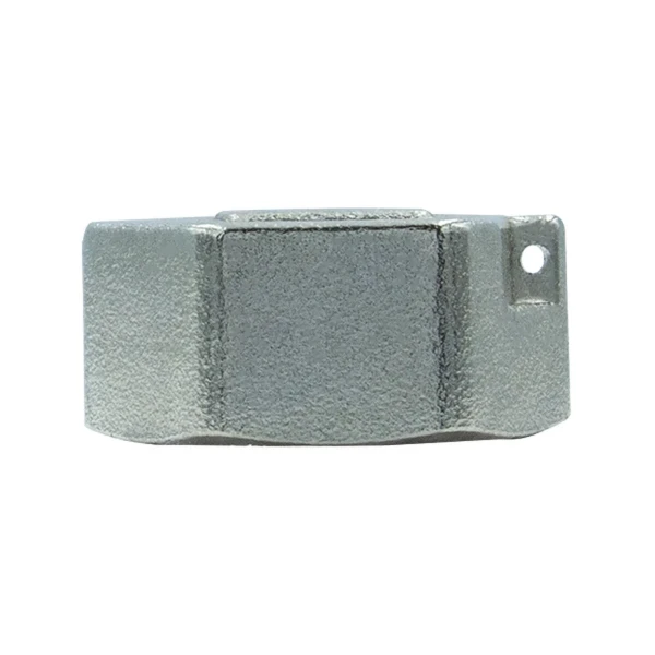 Заглушка Raftec PN40 ВВ 1