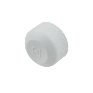 Заглушка PPR Raftec 25 мм REC25