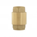 Зворотний клапан для води Raftec EUROPE DN25 1
