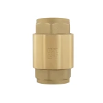 Обратный клапан для воды Raftec EUROPE DN25 1