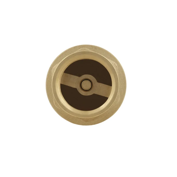 Обратный клапан для воды Raftec EUROPE DN25 1