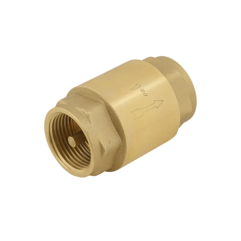 Зворотний клапан для води Raftec EUROPE DN25 1