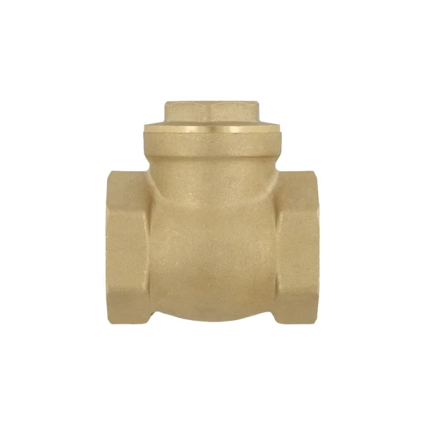 Обратный клапан лепестковый Raftec ВВ 1