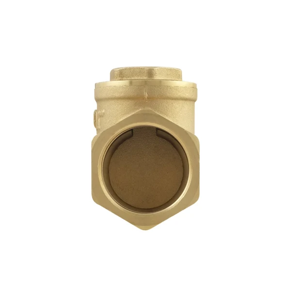 Обратный клапан лепестковый Raftec ВВ 1 1/4