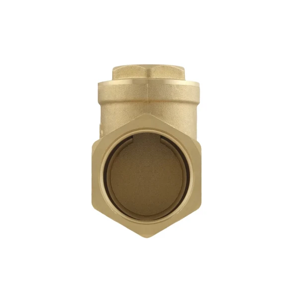 Обратный клапан лепестковый Raftec ВВ 1 1/2