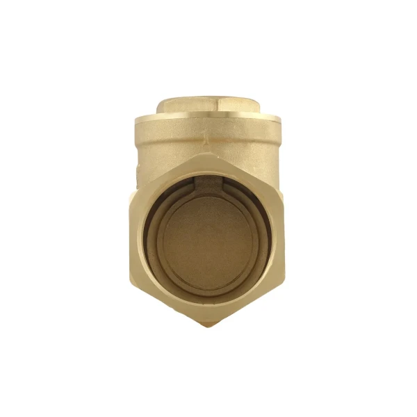 Обратный клапан лепестковый Raftec ВВ 2