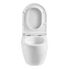 Унитаз подвесной Mixxus Premium Ellipse-0303-T3 520x365x360mm, система смыва Tornado 3.0 (MP6465)
