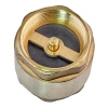 Клапан зворотній (латунь) Waterpro WP300-40 - 1 1/2" (WP3311)