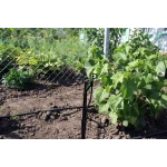 Капельница для полива микроджет Давление Presto-PS MJ-1511