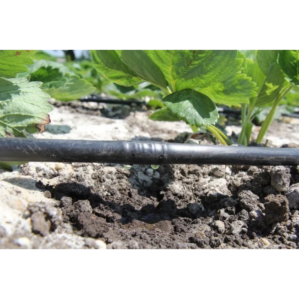 Капельная трубка многолетняя с капельницами через 25 см, длина 200 м Presto-PS MCL-25-200