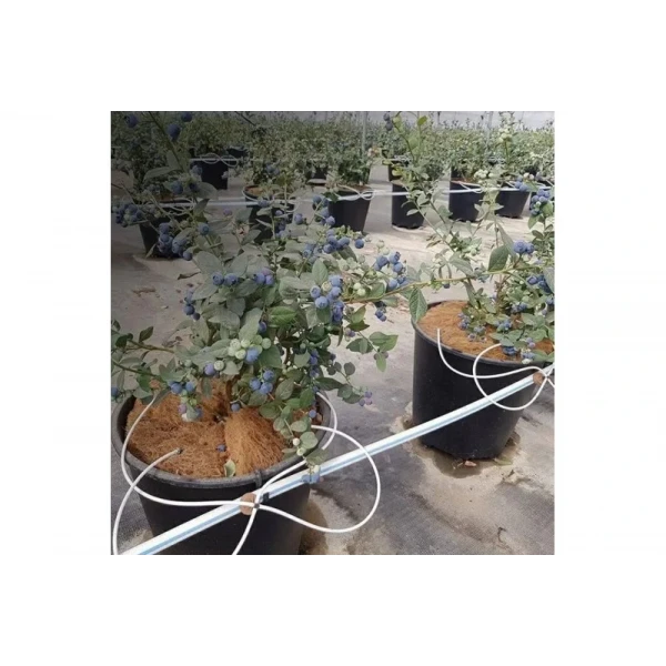 Крапельна трубка Presto-PS біла для крапельниць мікроджет діаметр 5*1,5 мм, довжина 100 м (PVH 5B)