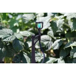 Капельница для полива микроджет Зонт-А Presto-PS MS-1101-A