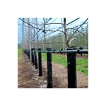 Трубка капельная многолетняя с капельницами через 50 см, длина 200 м. Presto-PS MCL-50-200