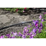 Микроджет капельница для полива Крокус 43 л/час 180° Presto-PS 7718