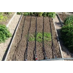 Капельная лента эмиттерная 3D Tube, капельницы через 10 см, расход 1,38 л/ч, длина 500 м. Presto-PS 3D-7-10-500