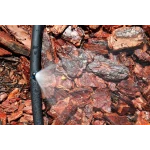 Микроджет капельница для полива Крокус 43 л/ч 90° Presto-PS 7717