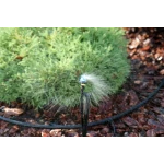 Капельница для полива микроджет Колибри Presto-PS MS-8060