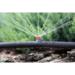 Микроджет капельница для полива Крокус 52 л/ч 360° Presto-PS 7719